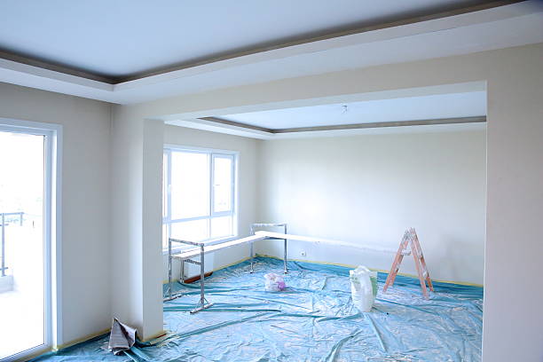 Best Drywall Sanding and Smoothing  in Vla Park, IL